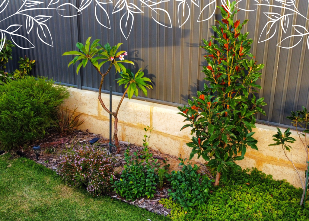 Pardon Your Garden Perth Pardon Your Garden | Gardening Service Perth