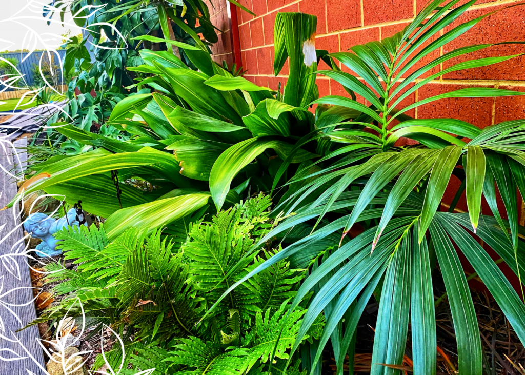 Pardon Your Garden Perth Pardon Your Garden | Gardening Service Perth