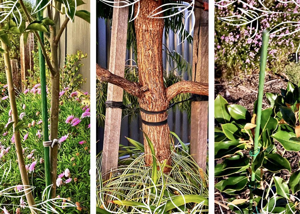 Pardon Your Garden Perth plant-stakes