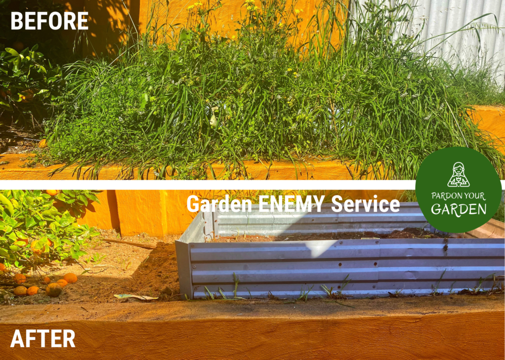 Pardon Your Garden Perth Pardon Your Garden | Gardening Service Perth