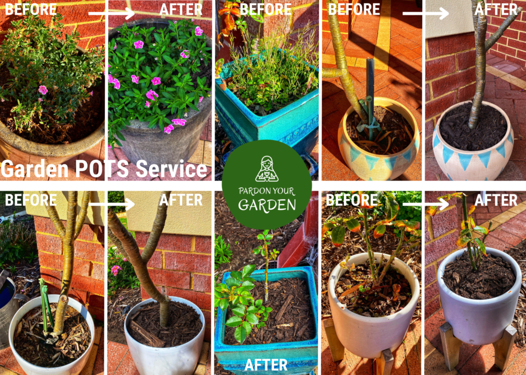 Pardon Your Garden Perth garden-service