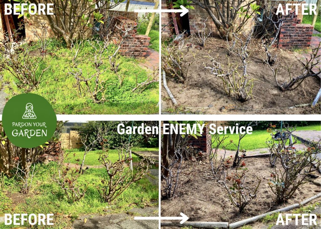 Pardon Your Garden Perth Pardon Your Garden | Gardening Service Perth
