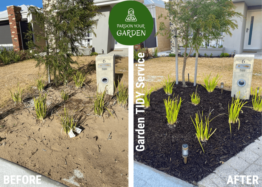 Pardon Your Garden Perth Pardon Your Garden | Gardening Service Perth