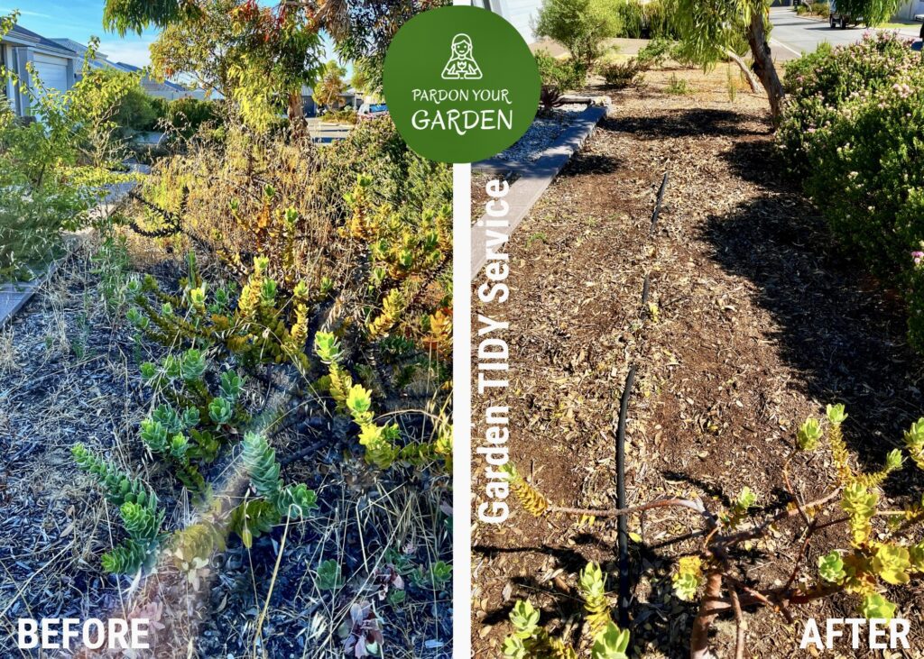 Pardon Your Garden Perth Pardon Your Garden | Gardening Service Perth