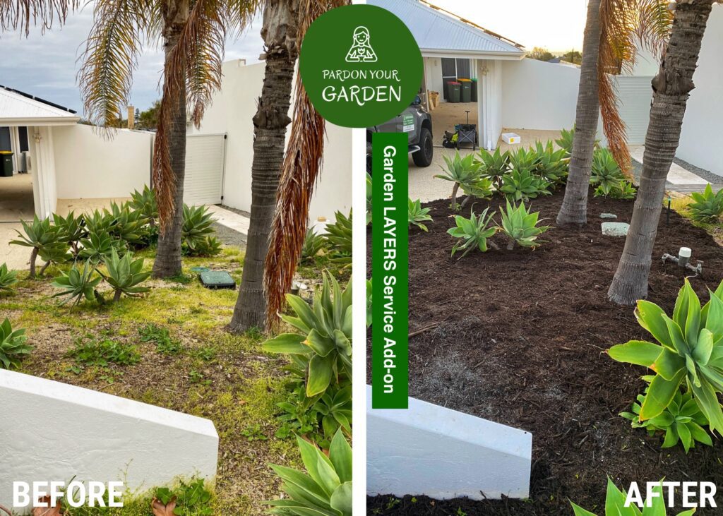 Pardon Your Garden Perth Pardon Your Garden | Gardening Service Perth