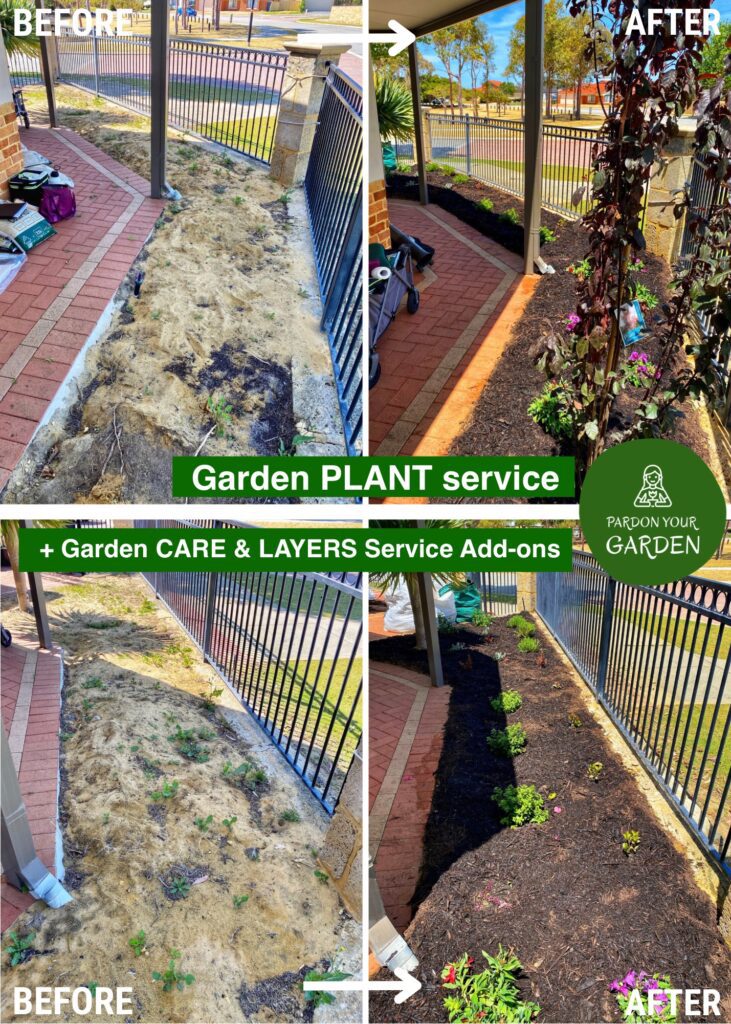 Pardon Your Garden Perth Pardon Your Garden | Gardening Service Perth