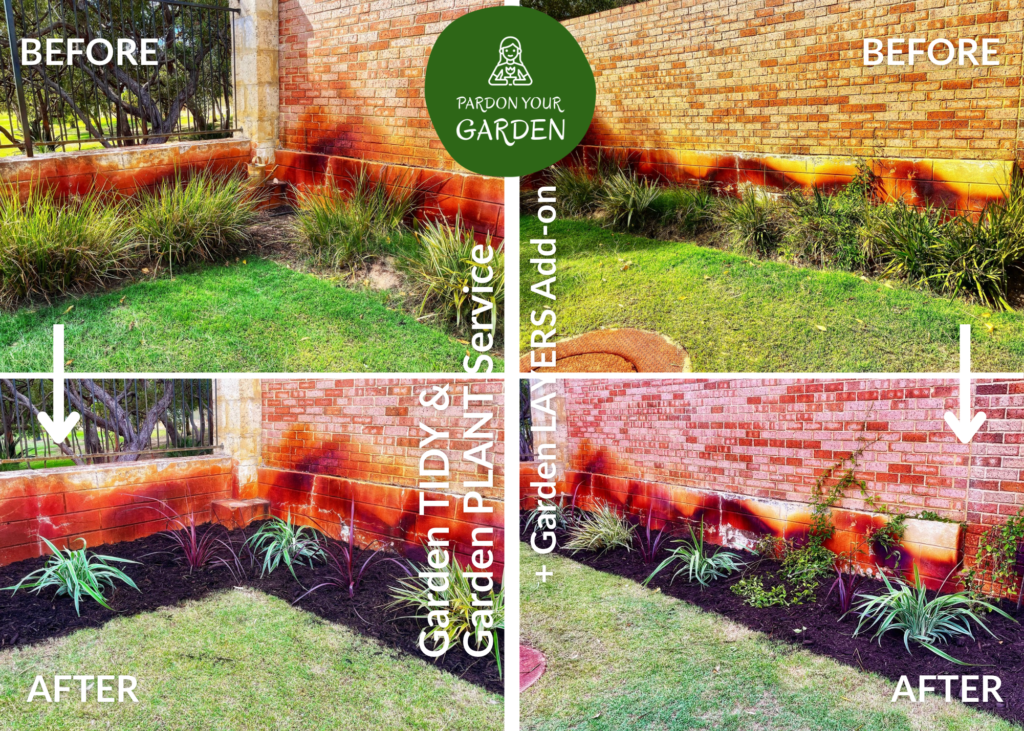 Pardon Your Garden Perth Pardon Your Garden | Gardening Service Perth