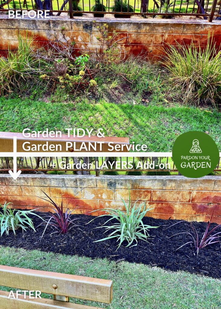 Pardon Your Garden Perth Pardon Your Garden | Gardening Service Perth