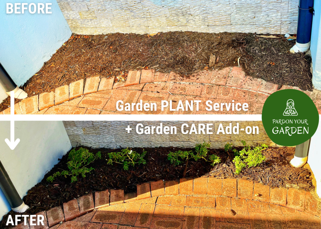 Pardon Your Garden Perth Pardon Your Garden | Gardening Service Perth