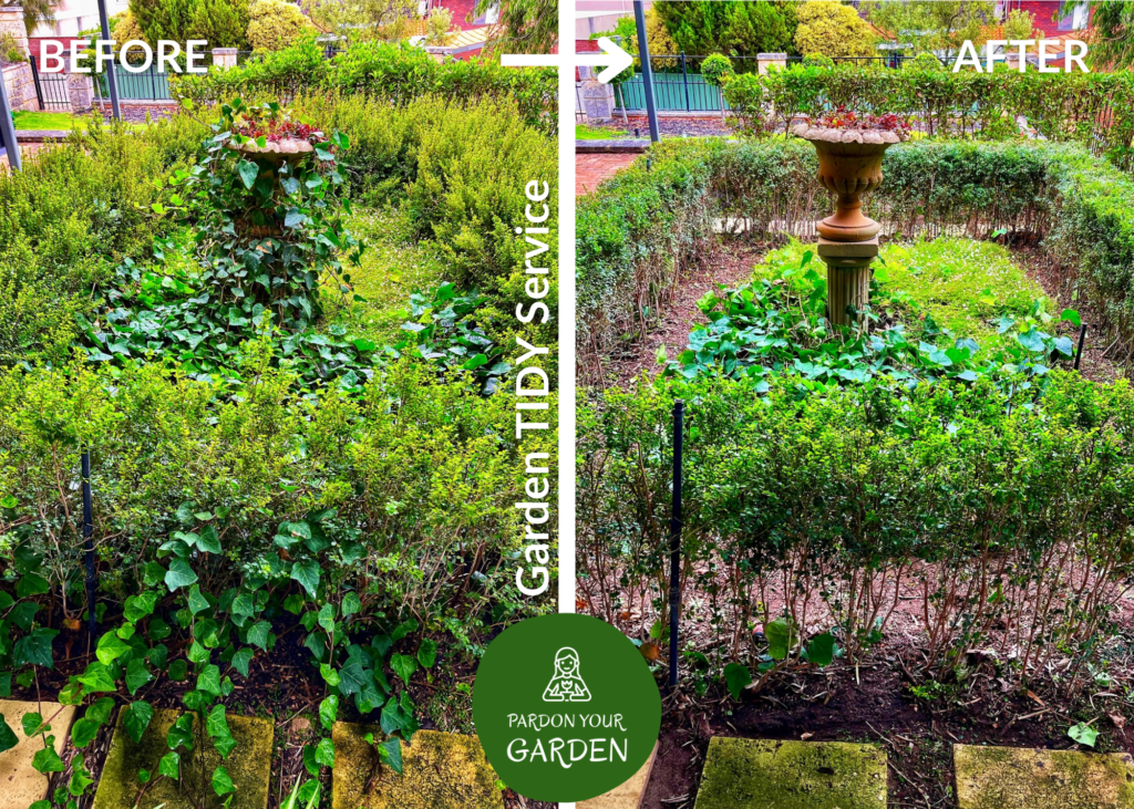 Pardon Your Garden Perth Pardon Your Garden | Gardening Service Perth