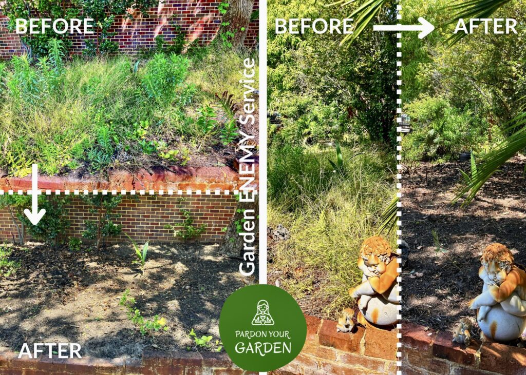 Pardon Your Garden Perth Pardon Your Garden | Gardening Service Perth