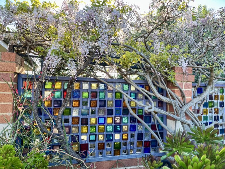 Pardon Your Garden Perth Pardon Your Garden | Gardening Service Perth