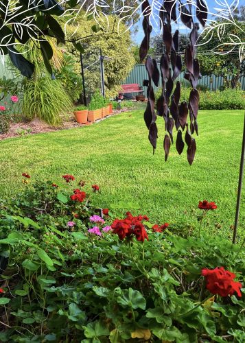 0BF7B3ED-6A3E-41EB-A39F-D4BDDEA4D42F 0BF7B3ED-6A3E-41EB-A39F-D4BDDEA4D42F