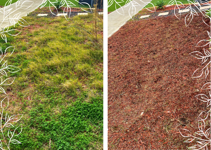 weed-removal weed-removal