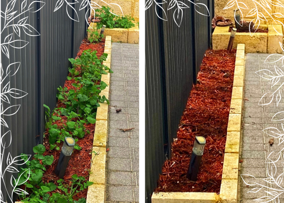 weed-removal weed-removal